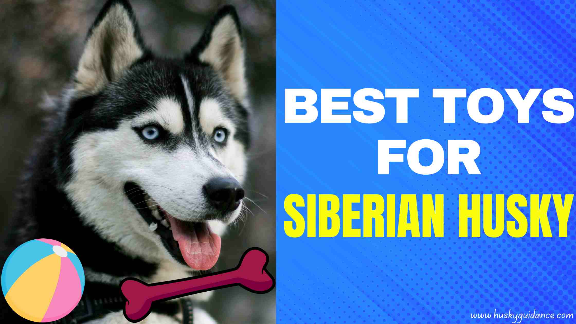 Amazing best toys for husky dogs
