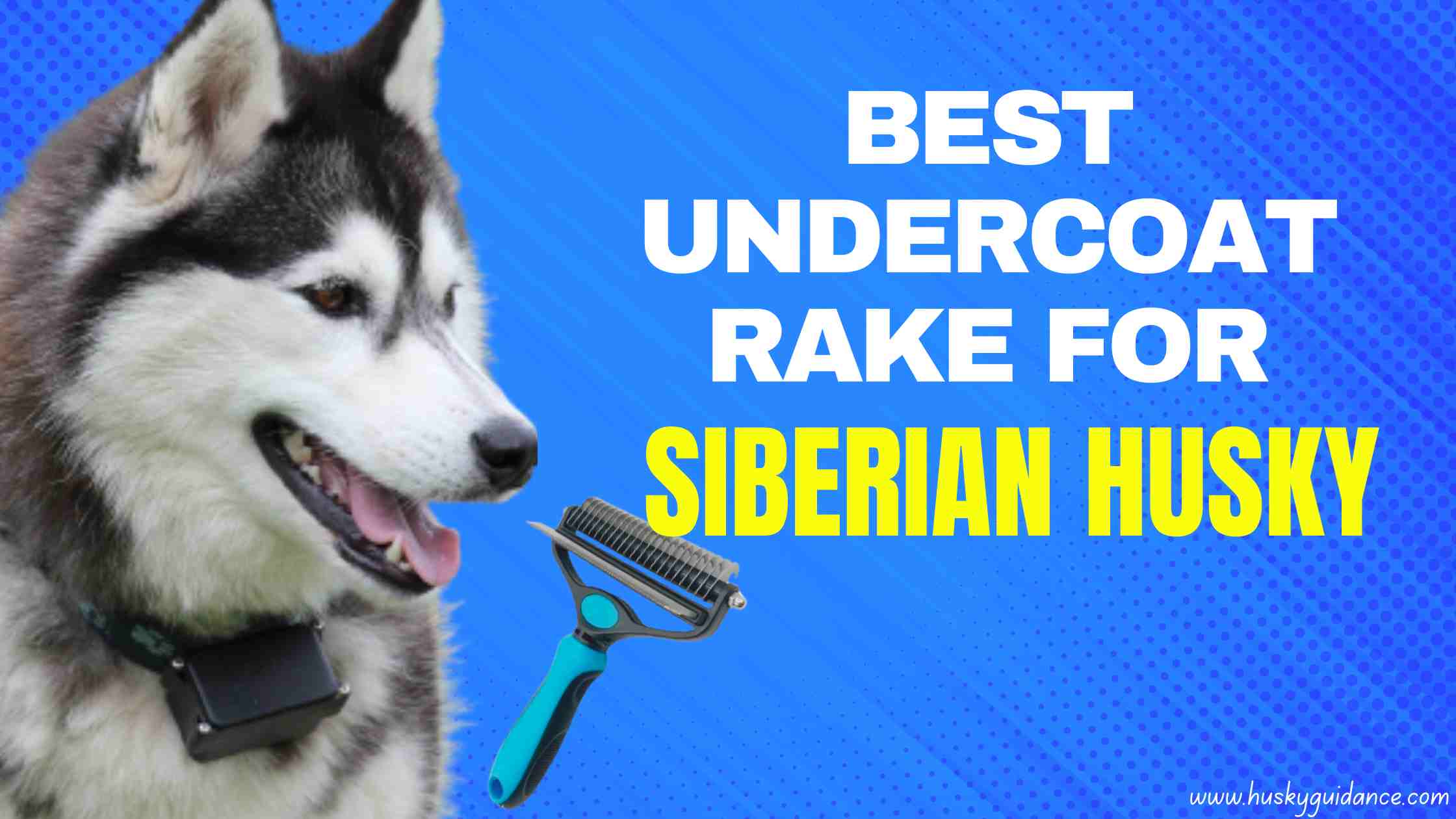 Best undercoat rake for husky