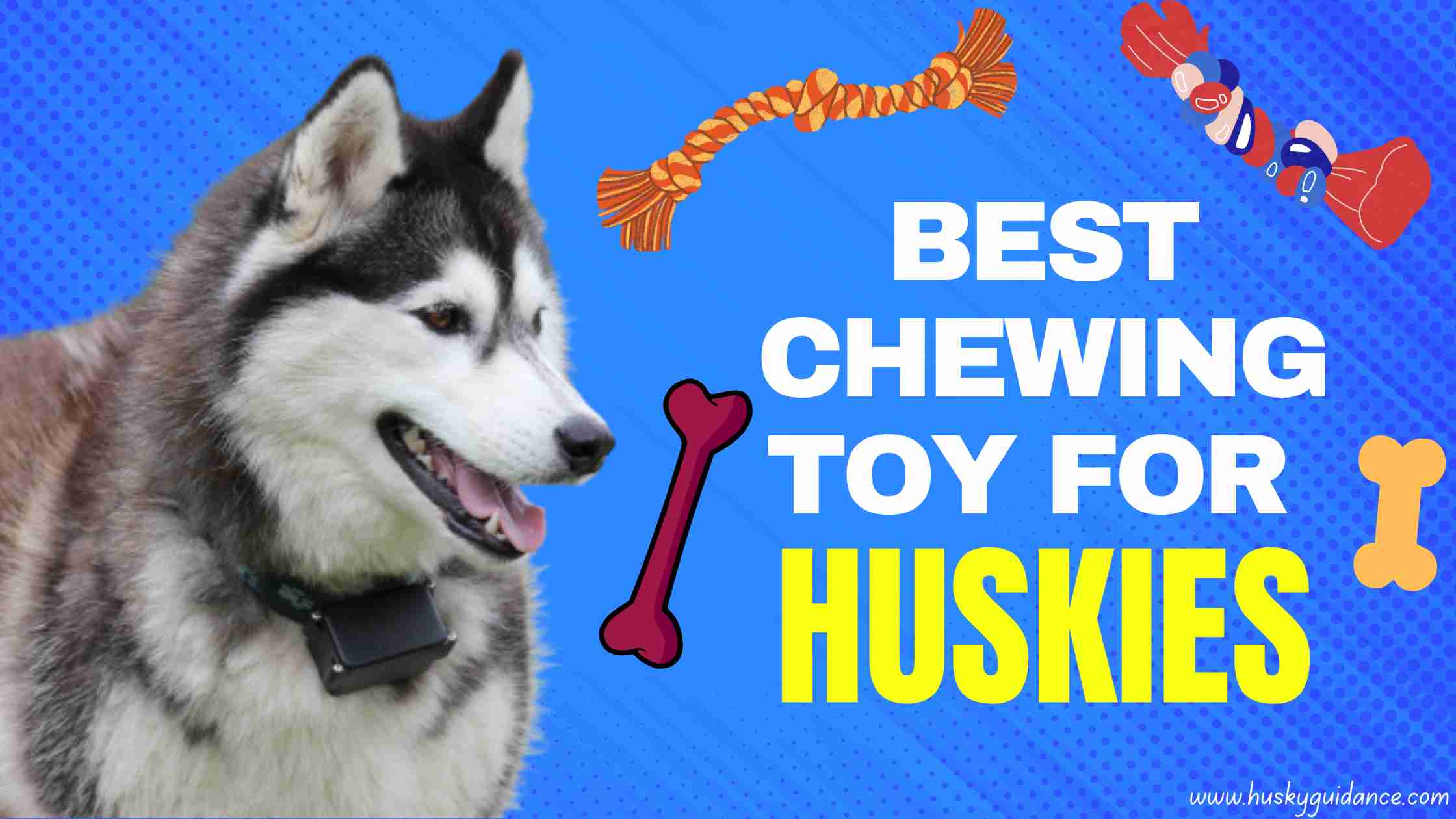 Best chew toys for huskies
