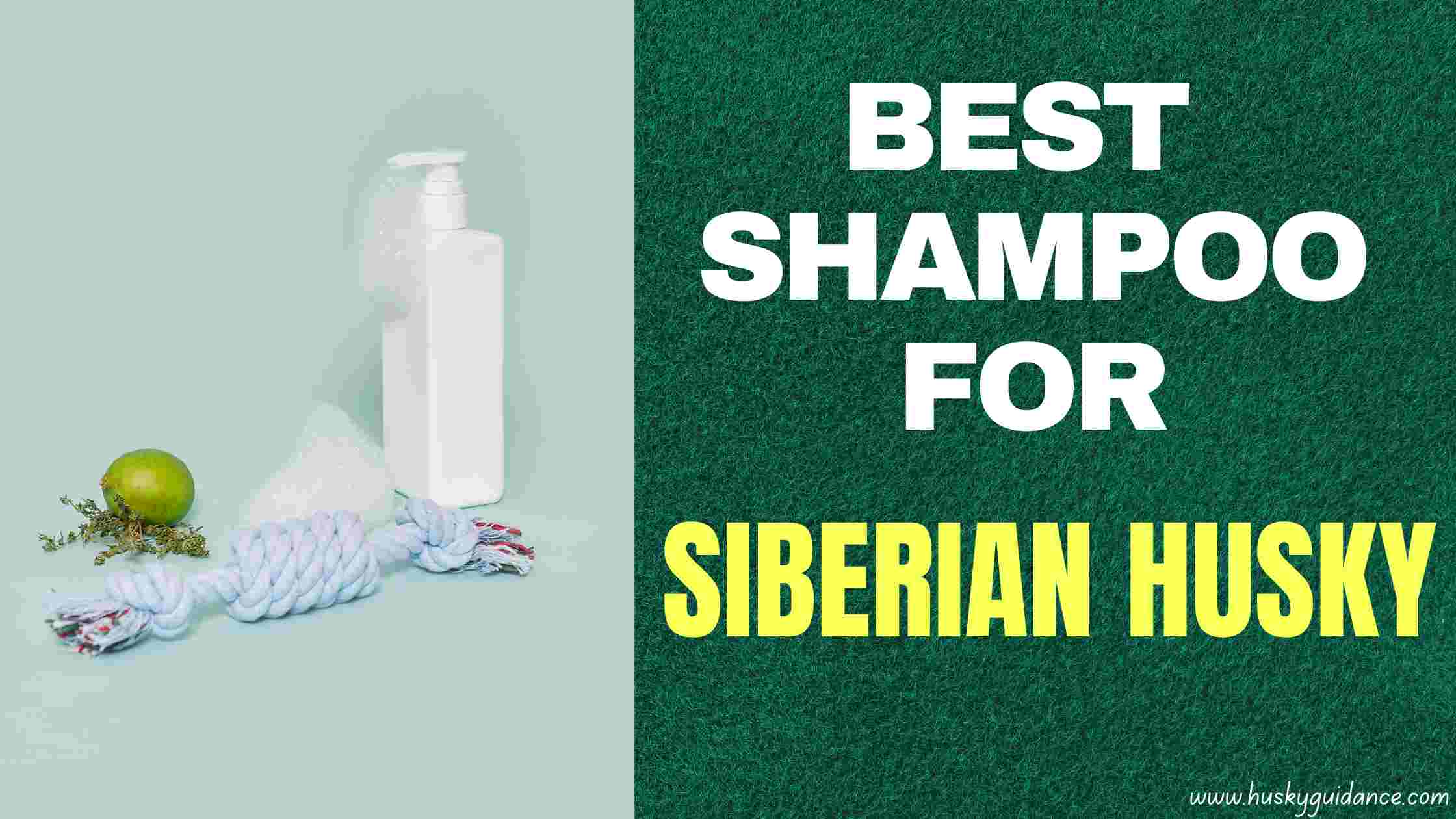 Best Shampoo For Husky Dogs