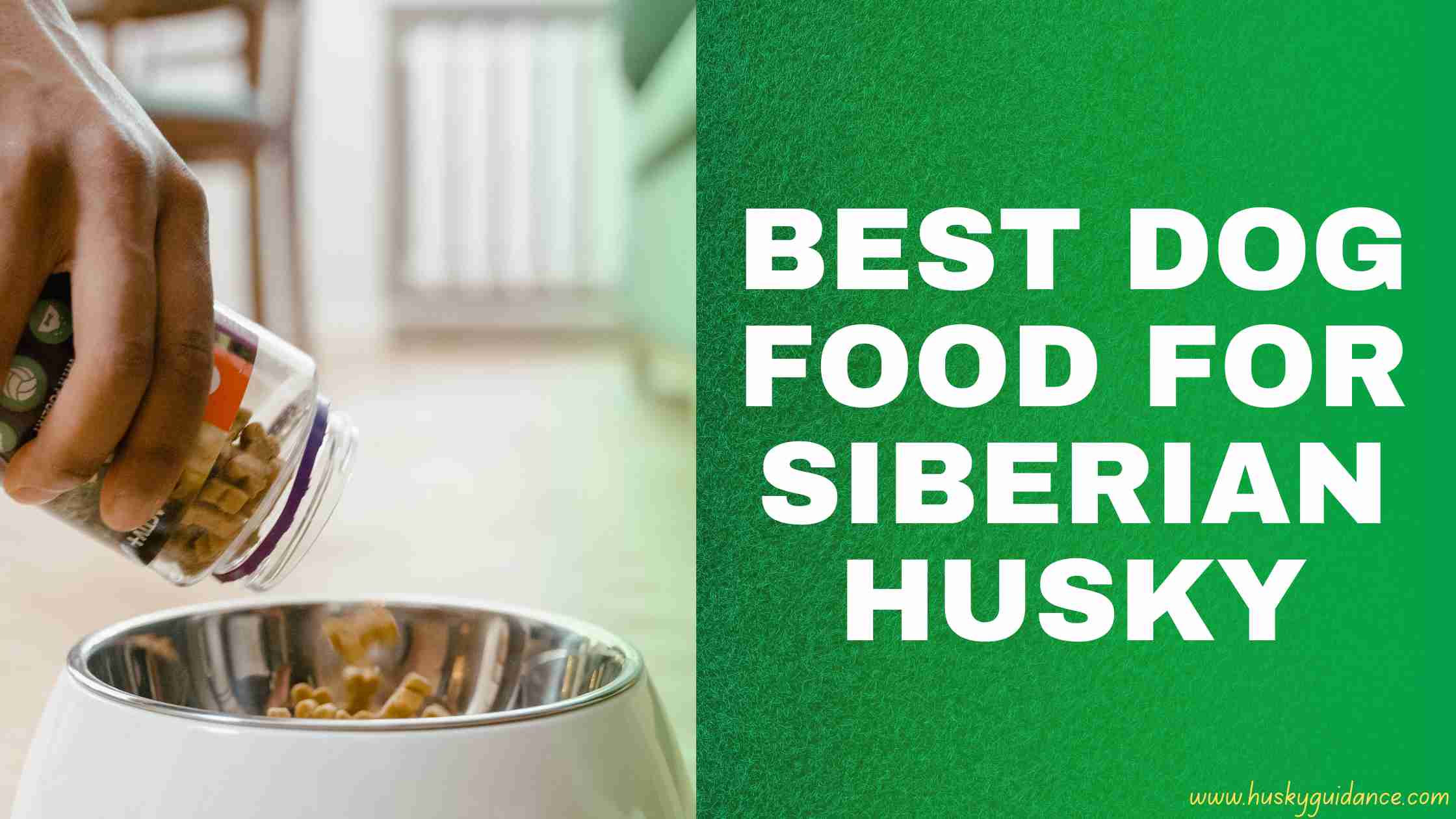 Best dog food for Huskies